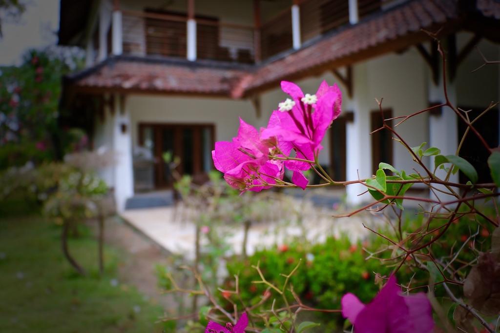 3 Bedroom Private House Gili Trawangan Exterior photo