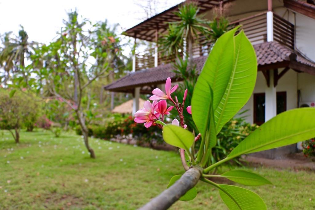3 Bedroom Private House Gili Trawangan Exterior photo